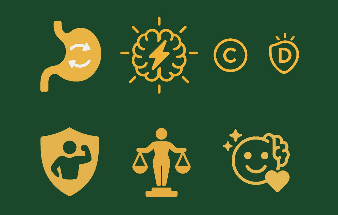 Yerba Mate Benefits: Natural Energy and Complete Wellness